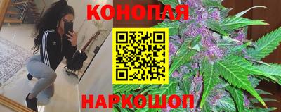 амф Кингисепп