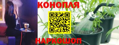 амф Кингисепп