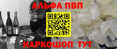 амф Кингисепп