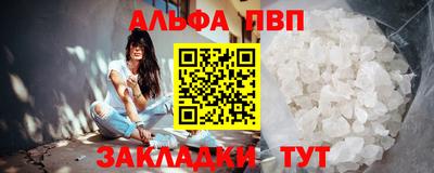 амф Кингисепп