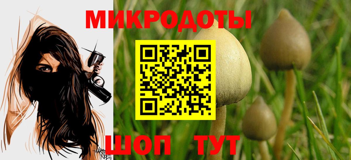 Галлюциногенные грибы GOLDEN TEACHER Красноармейск