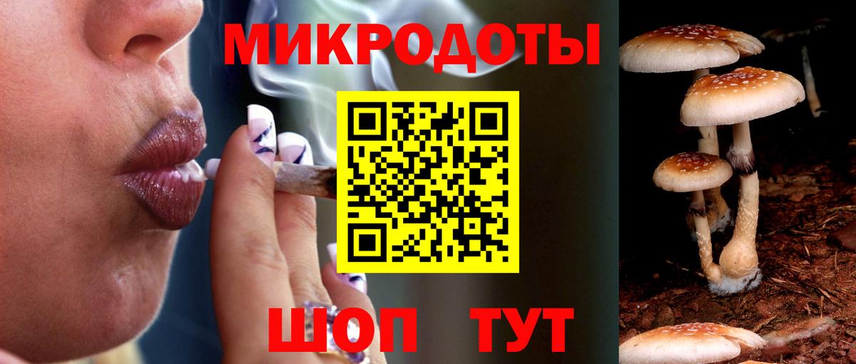 Галлюциногенные грибы Psilocybe  Вход с VPN  где купить   Красноармейск 